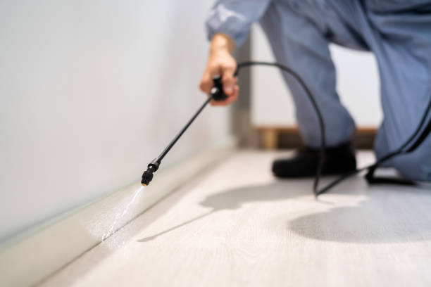 Licensed Pest Control service in Manhattan, IL - Show Me Pest Control